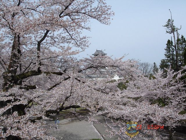 DSC03706.JPG