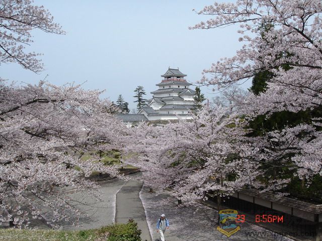 DSC03707.JPG