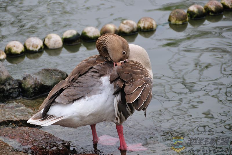 DSC_3342.jpg