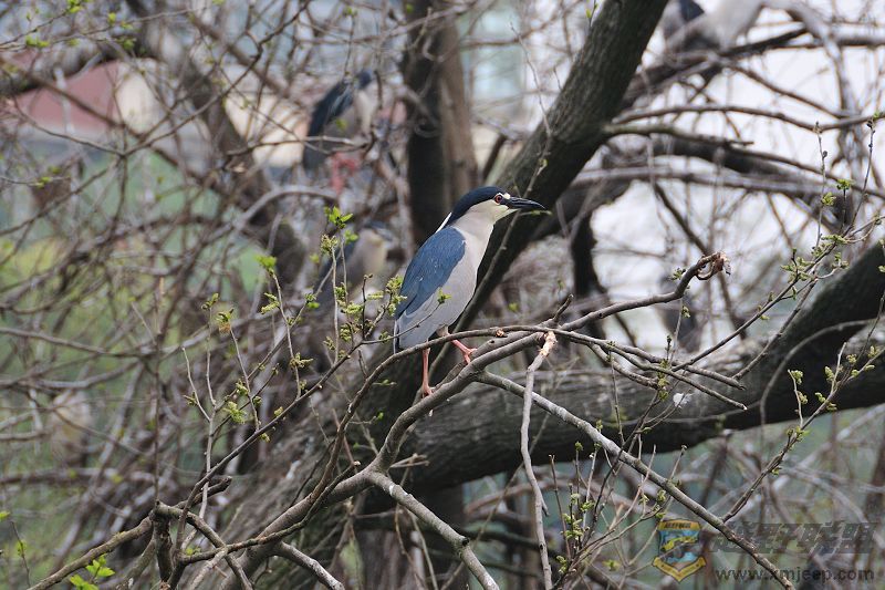 DSC_3344.jpg