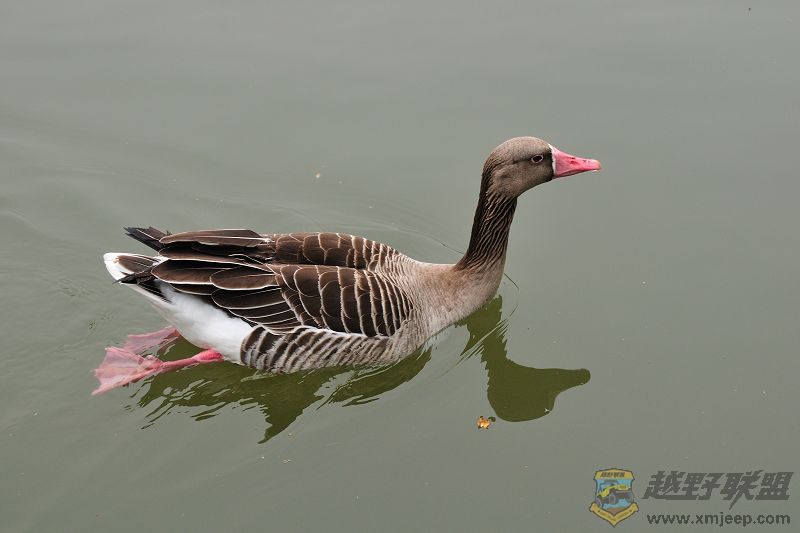 DSC_3358.jpg