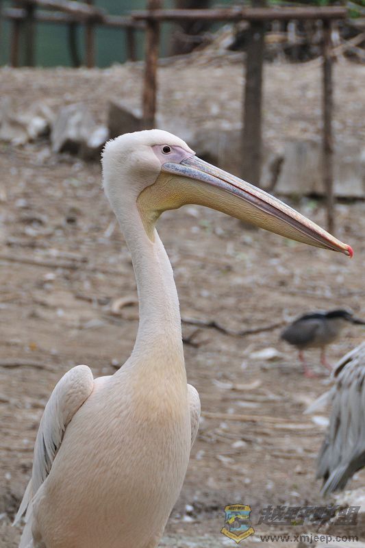 DSC_3365.jpg