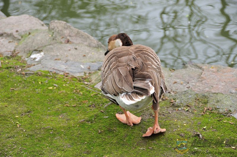 DSC_3382.jpg