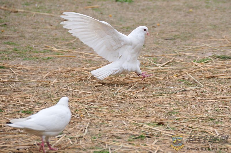 DSC_3404.jpg