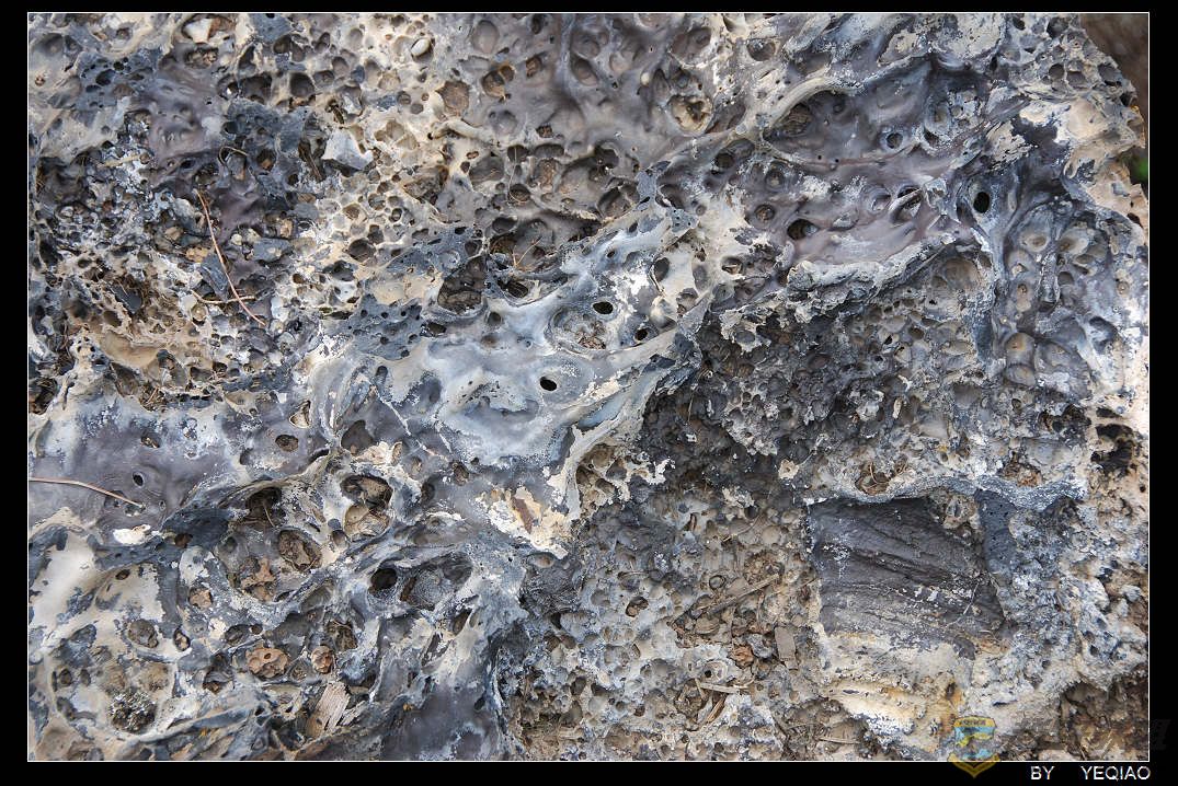DSC_3627.JPG