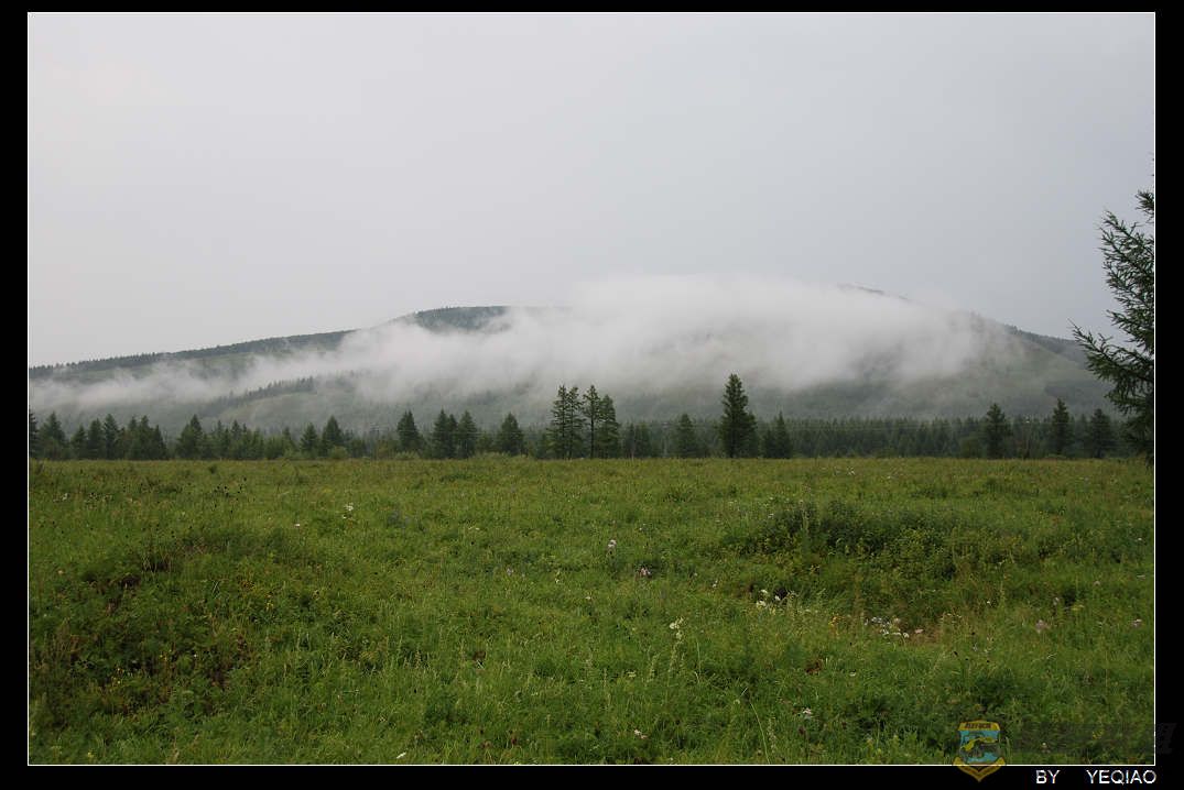 DSC_3730.JPG