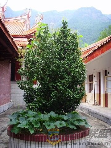 img009.jpg