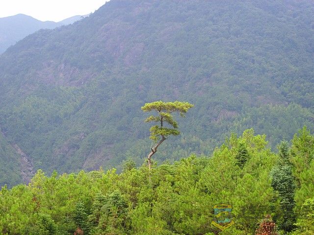 img026.jpg