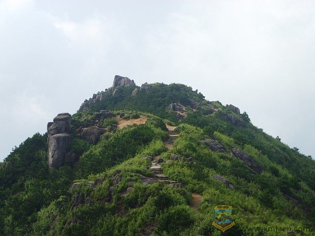 img062.jpg