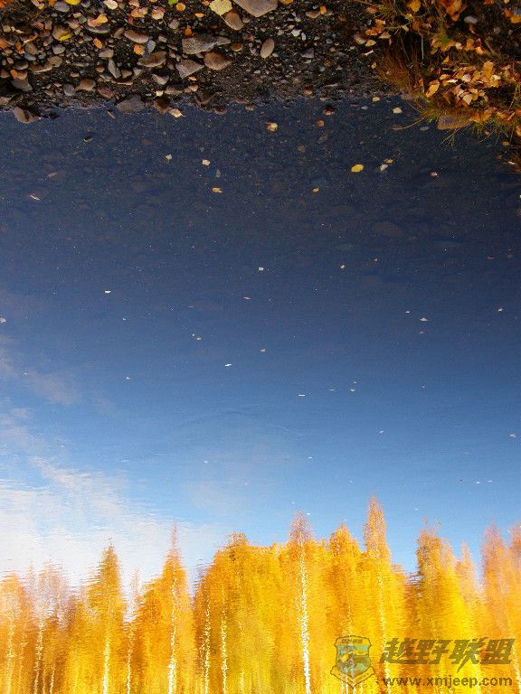 5c362f5f86489a23.jpg