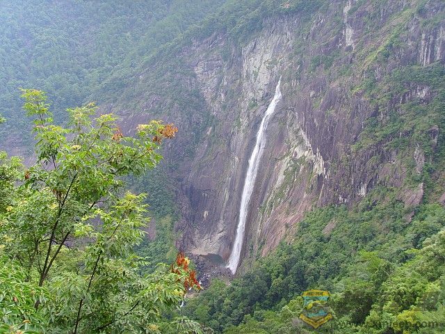 img105.jpg