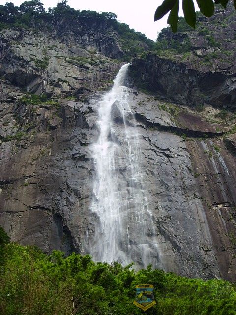 img166.jpg