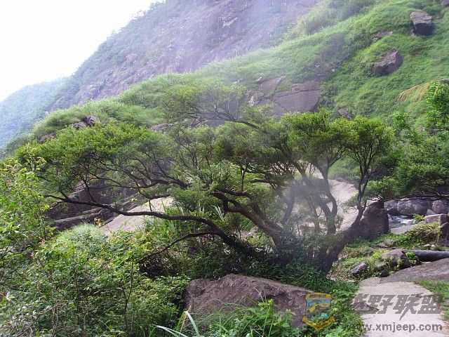 img195.jpg