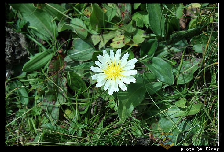 IMG_5060ѹӢ տѹӢ.jpg