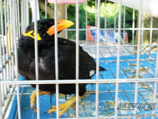 IMG_0112a.jpg