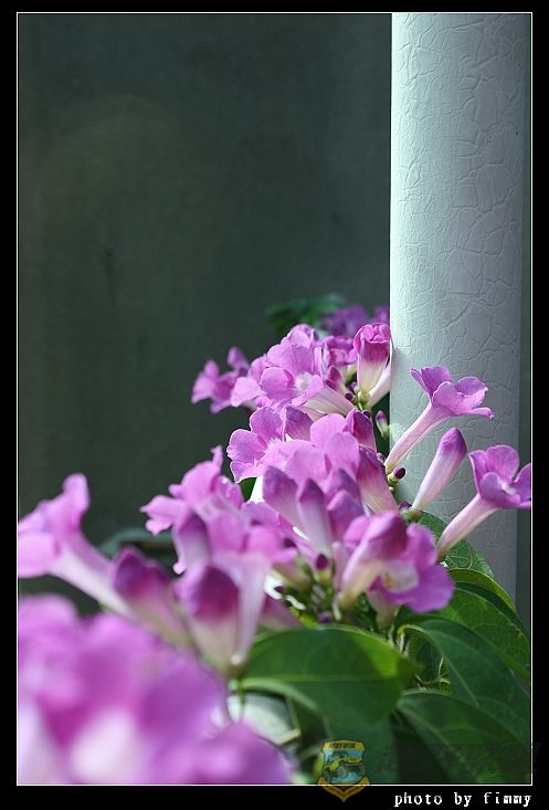 IMG_6598a.jpg