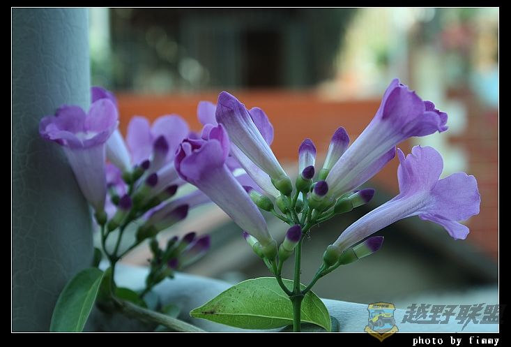 IMG_6620.JPG