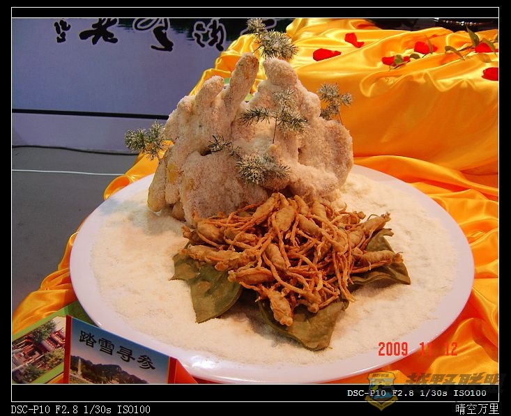 DSC01151a.jpg