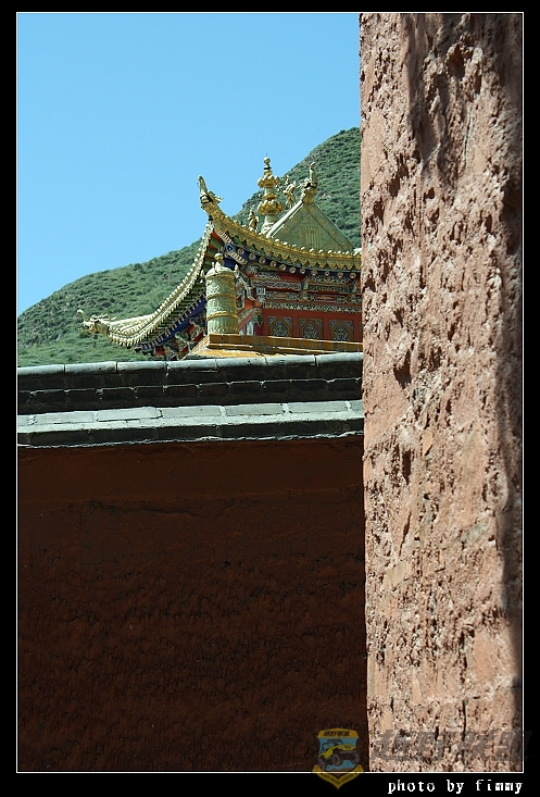 IMG_5534.jpg