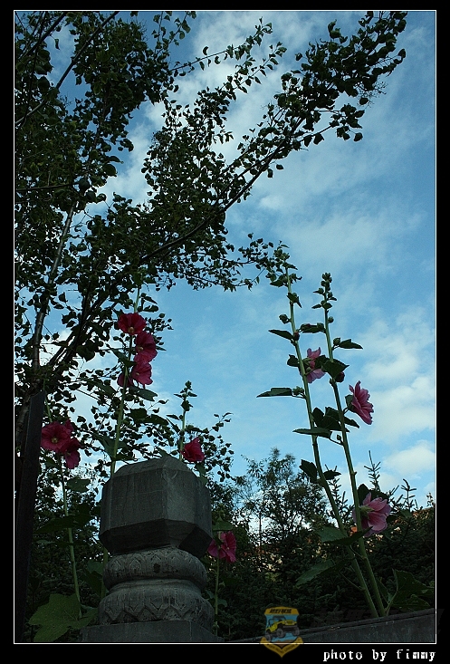 IMG_5847.jpg