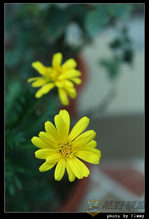 IMG_6668.JPG