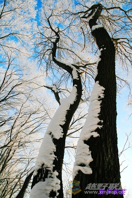 Ƭ 068 a.jpg