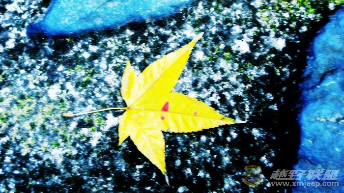 Ƭ 010.jpg