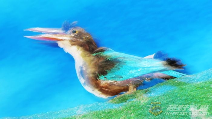 Ƭ 017.jpg