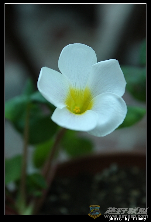 IMG_6676.JPG