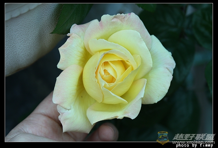 IMG_6687.JPG