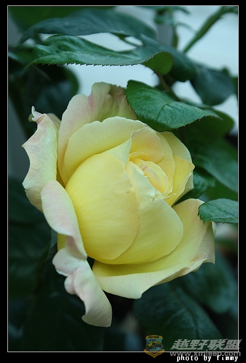 IMG_6694.JPG