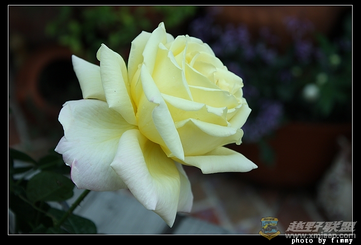 IMG_6779.JPG