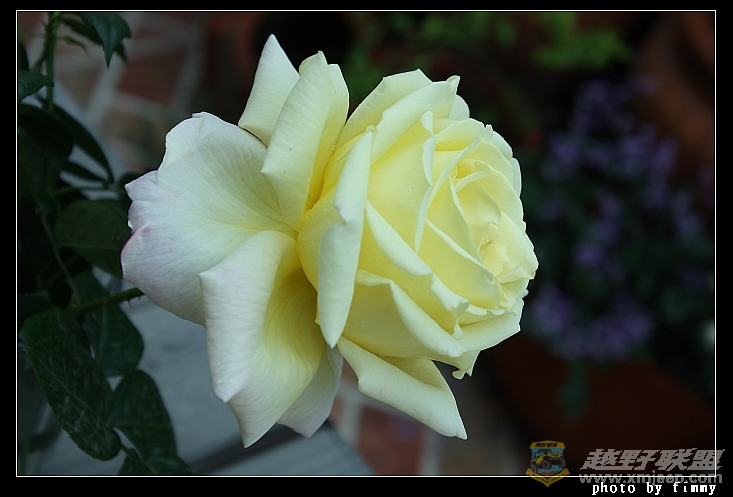 IMG_6780.JPG