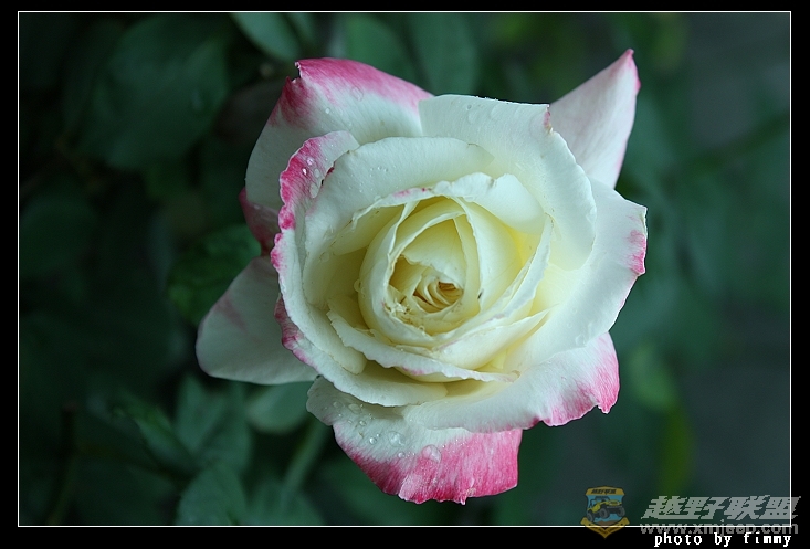 IMG_6785.JPG