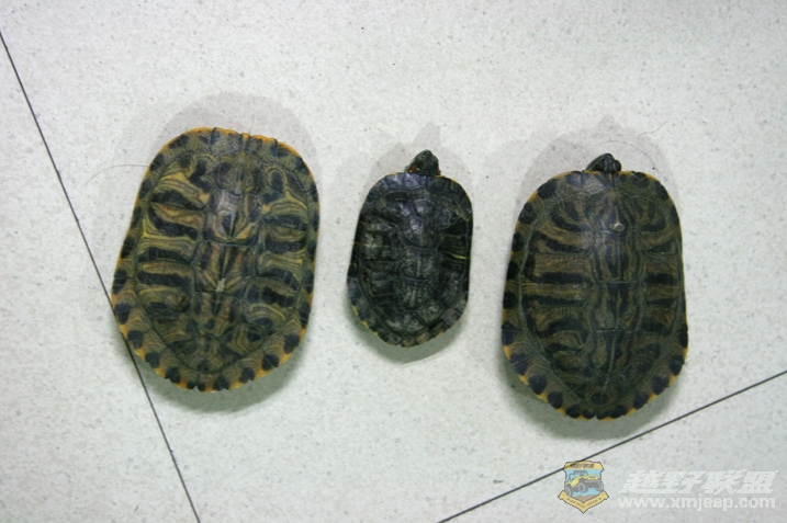 ڹ.jpg