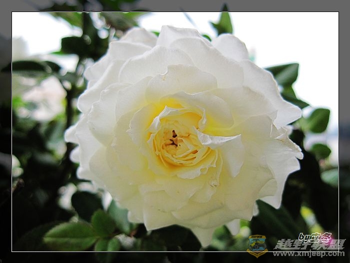 nEO_IMG_IMG_0033.jpg