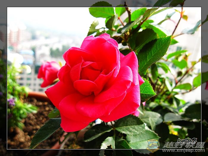 nEO_IMG_IMG_0065.jpg