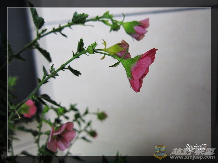 nEO_IMG_IMG_0025.jpg