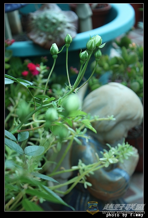 IMG_6874.JPG