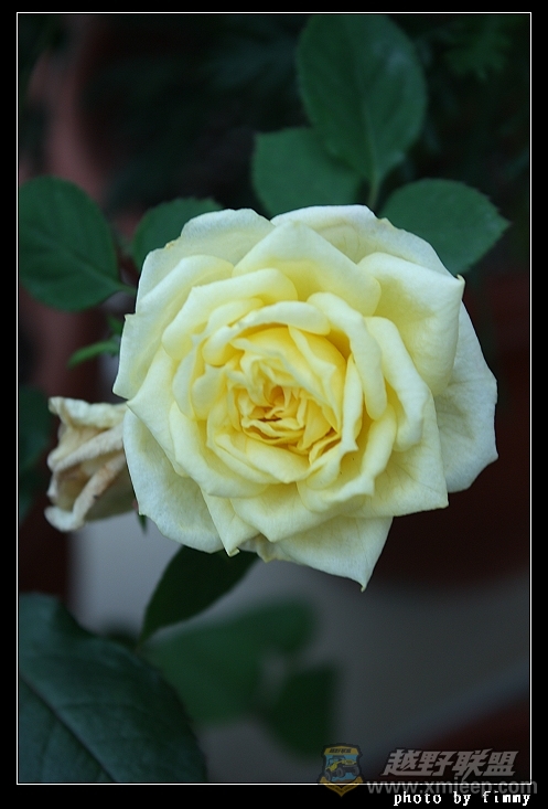 IMG_6897.JPG