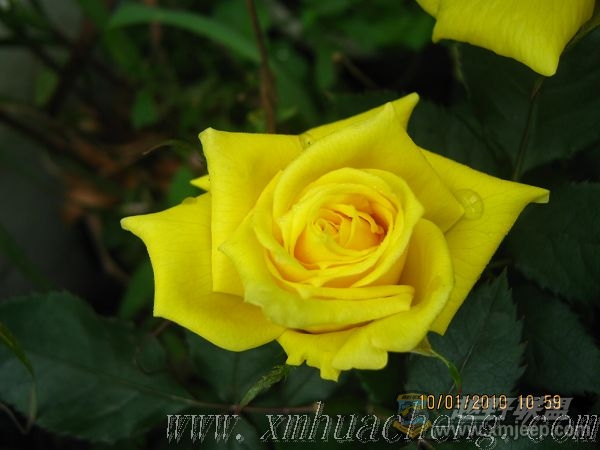 nEO_IMG_IMG_0002.jpg