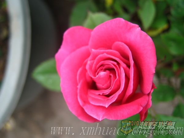 nEO_IMG_IMG_0006.jpg