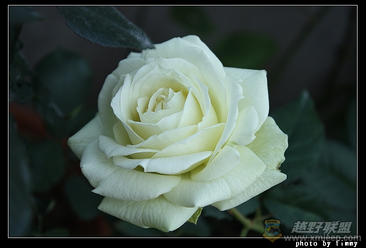 IMG_6986.JPG