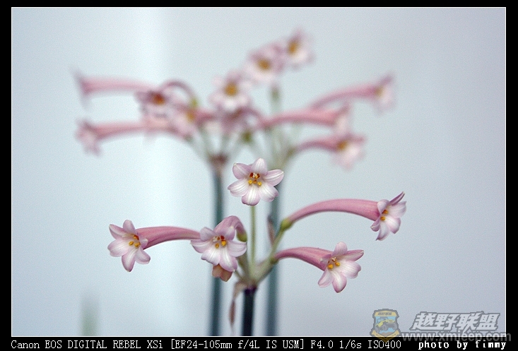 IMG_7030a.jpg