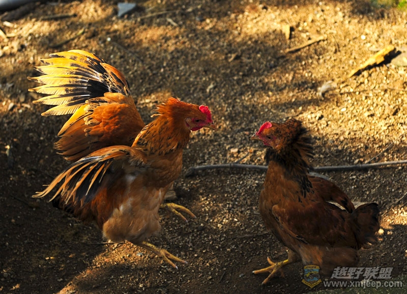 DSC_2259x.jpg