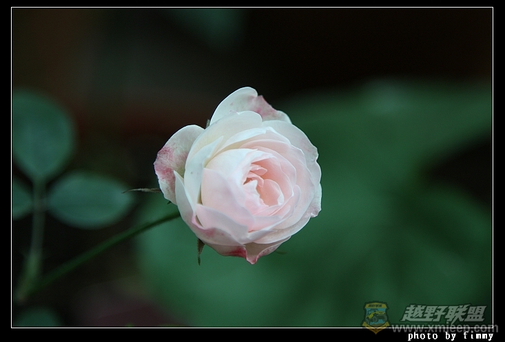 IMG_7048.JPG