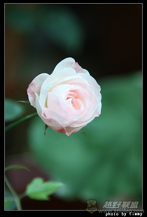 IMG_7066.JPG
