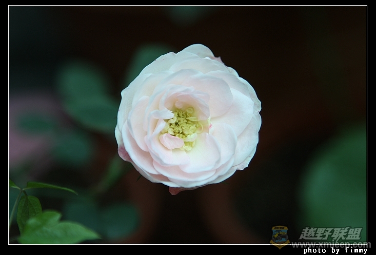IMG_7089.JPG