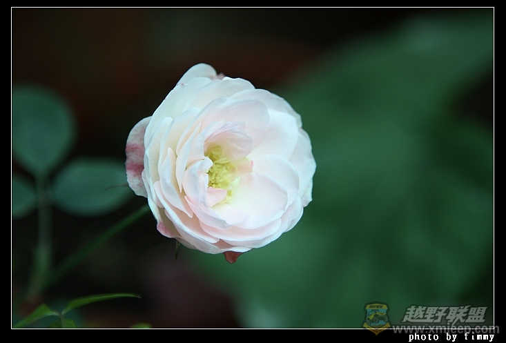 IMG_7090.JPG