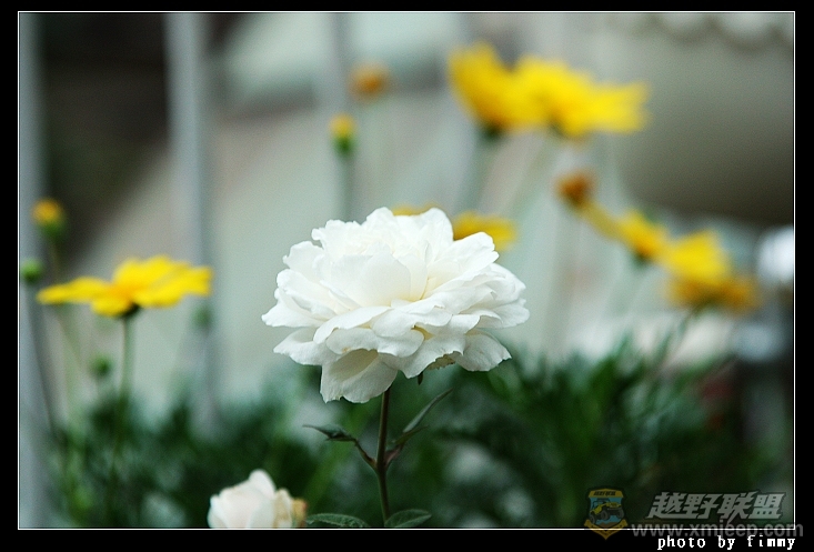 IMG_7282a.jpg